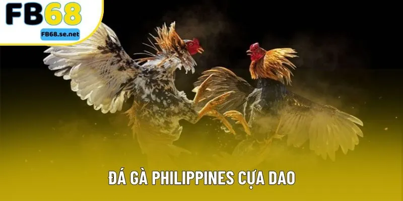 Đá Gà Philippines Cựa Dao - Cùng Khám Phá Luật Chơi Và Tỷ Lệ Thắng