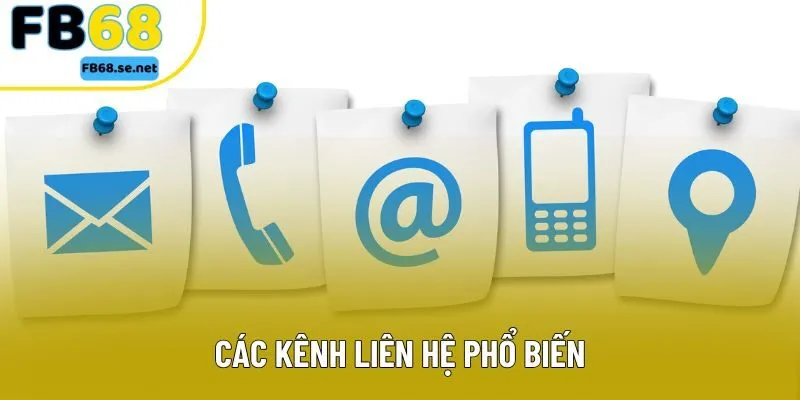 Các kênh liên hệ phổ biến Các kênh liên hệ phổ biến